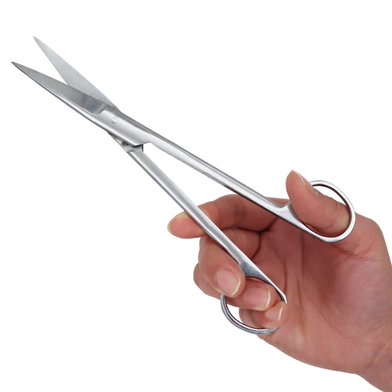 14cm/16cm/18cm Straight Curved Tip Head Stainless Steel Surgical Scissors Forceps Medical Tools for Dental Clinic